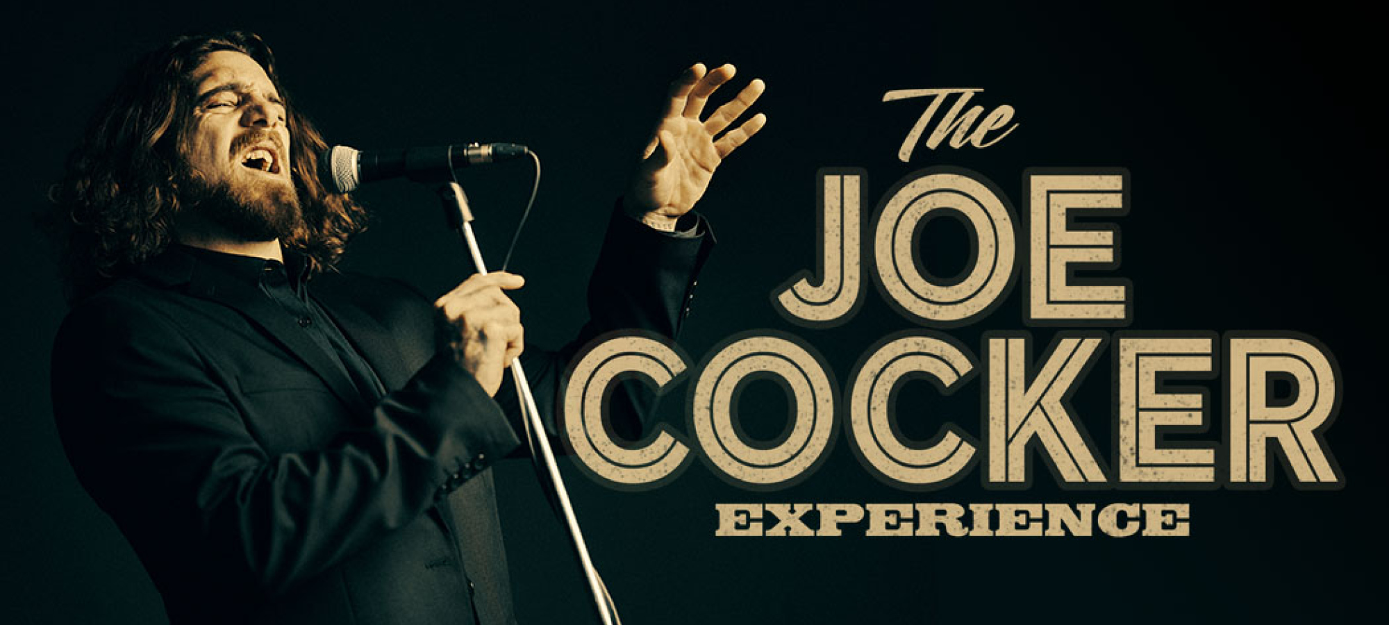 Joe Cocker Experience