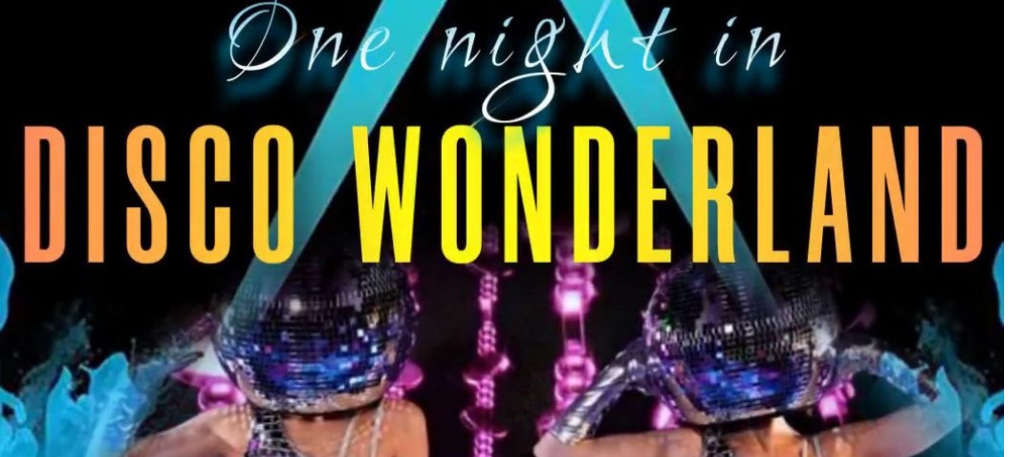 One Night in Disco Wonderland