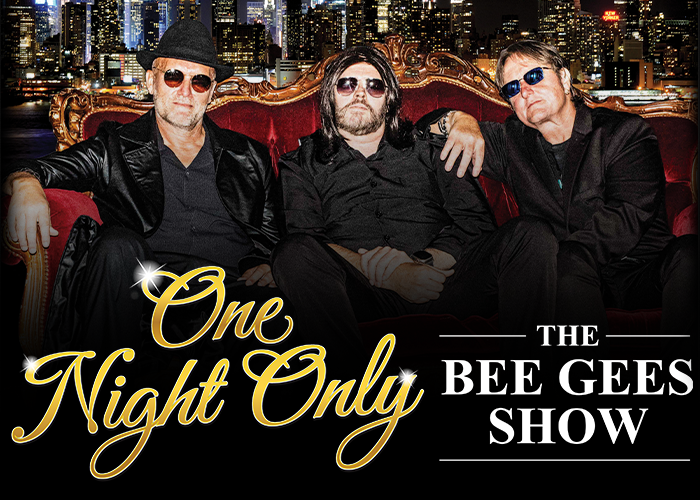 The Bee Gees Show