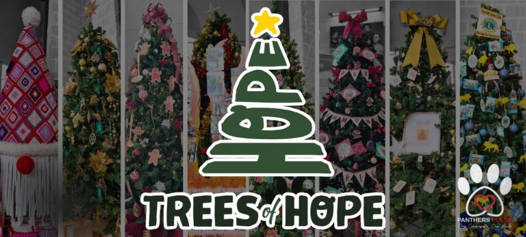 Eight decorated Christmas trees at Panthers Penrith representing local Western Sydney charities