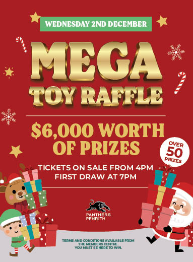 Christmas Mega Toy Raffle
